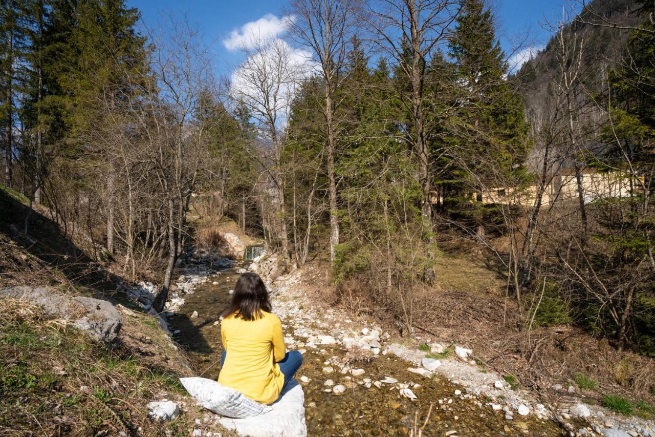 Butterfly Cottage By The Creek Tržič Esterno foto